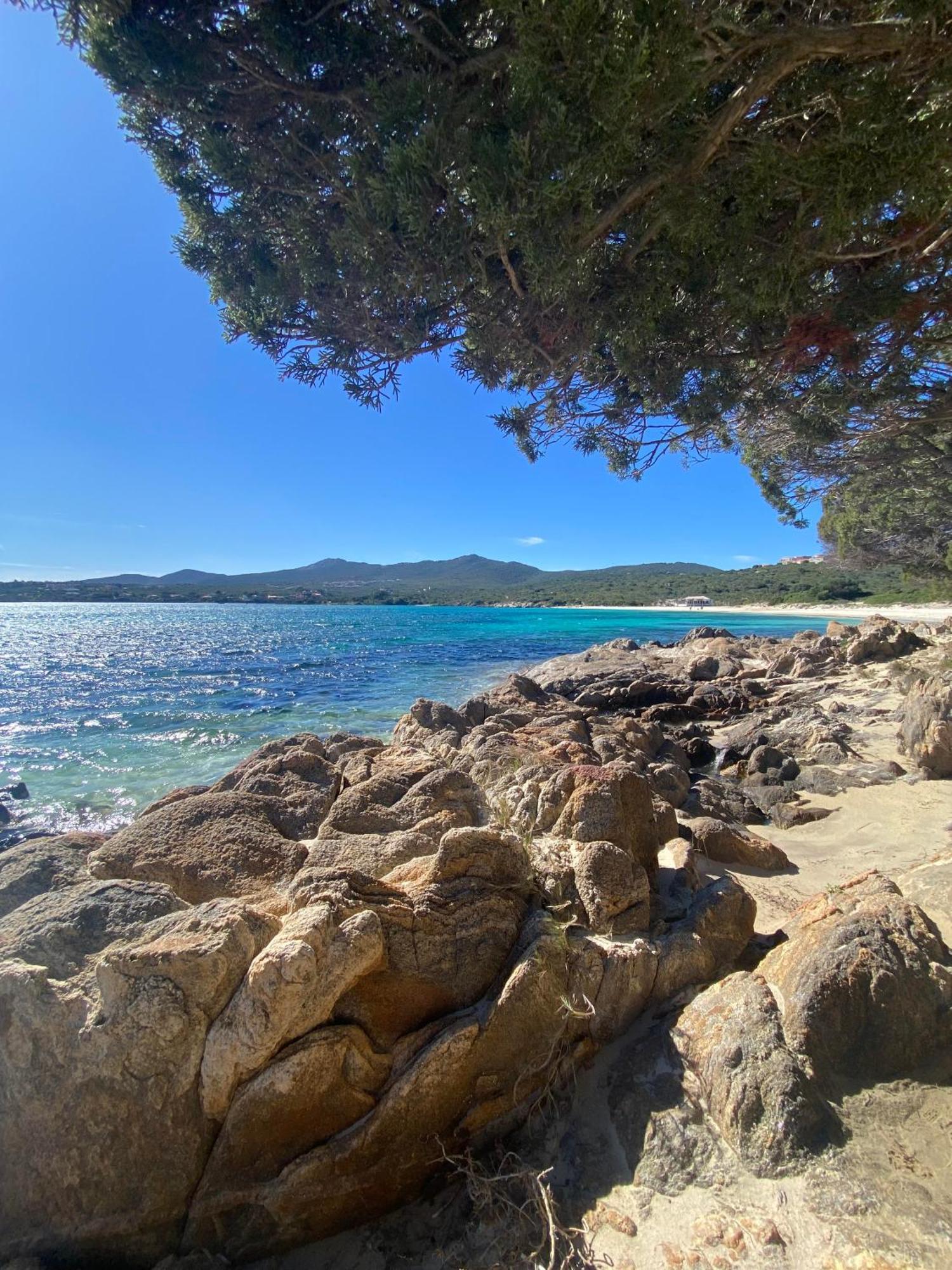 Int13 Via De Filippi Olbia